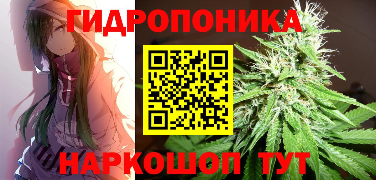 Бошки Шишки VHQ Пугачёв